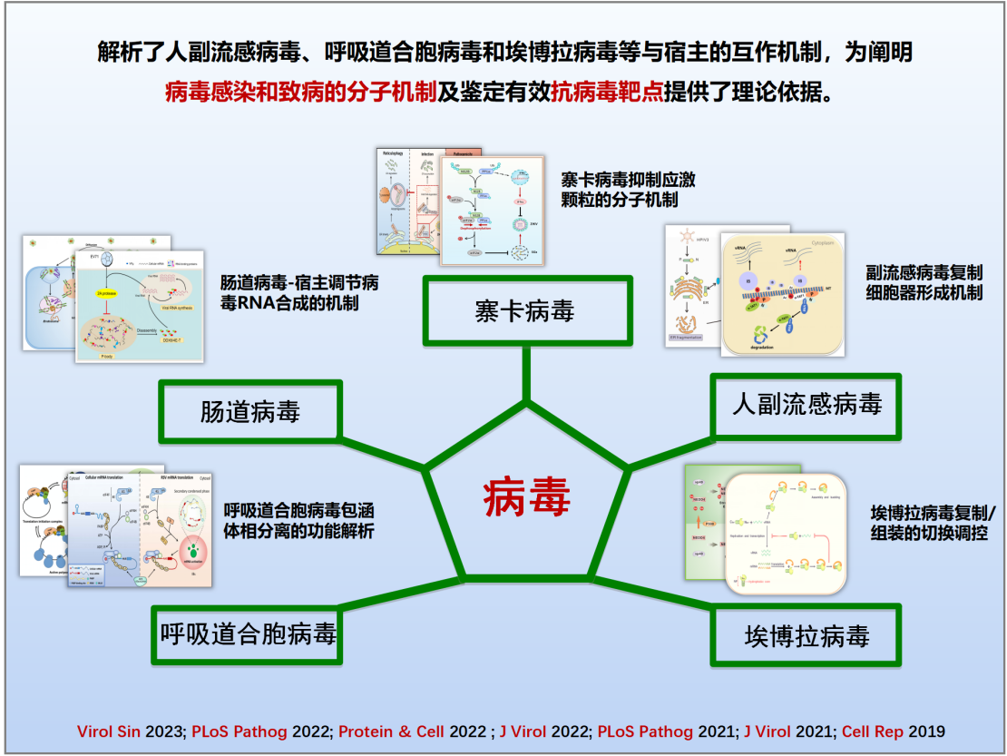 陈明周教授团队科技进展2023-12-12-6666_01