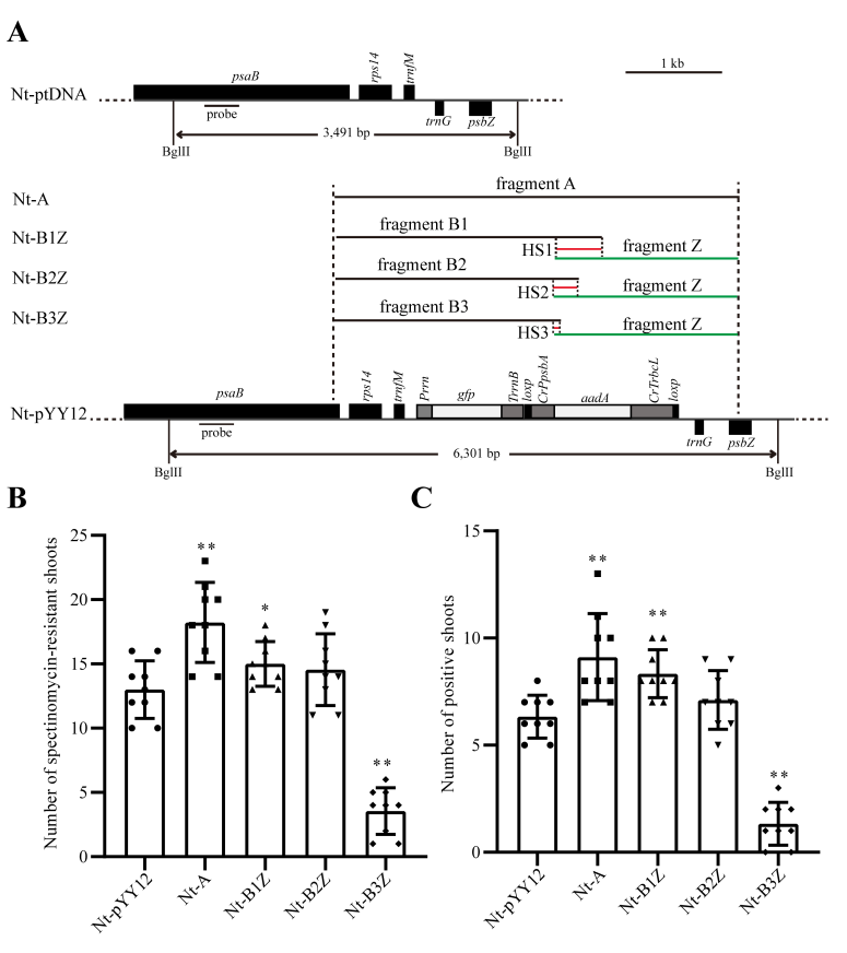 figure2